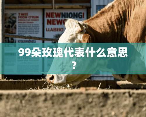 99朵玫瑰代表什么意思？