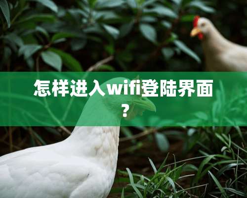 怎样进入wifi**界面？