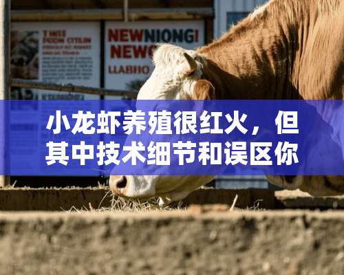 小龙虾养殖很红火，但其中技术细节和误区你知多少？