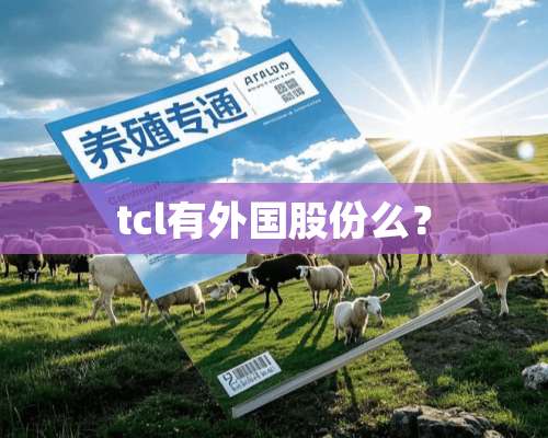 tcl有外国股份么？