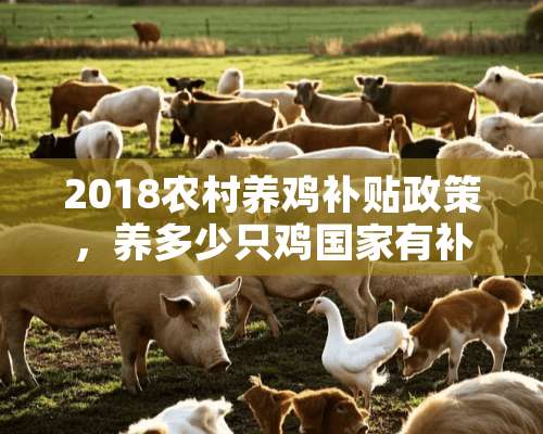 2018农村养鸡补贴政策，养多少只鸡国家有补贴？需要哪些证件？