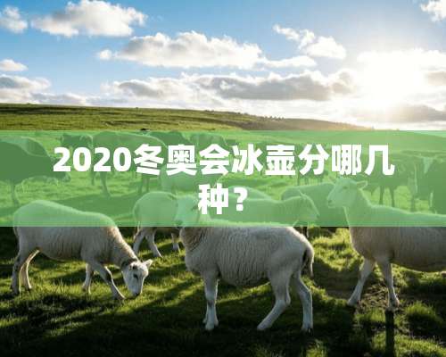 2020冬奥会冰壶分哪几种？