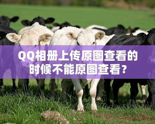 QQ相册上传原图查看的时候不能原图查看？