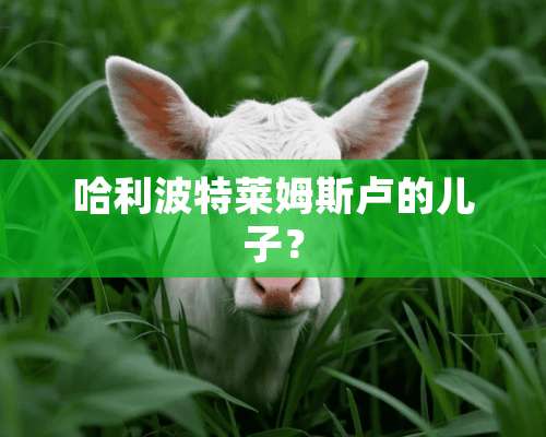 哈利波特莱姆斯卢的儿子？