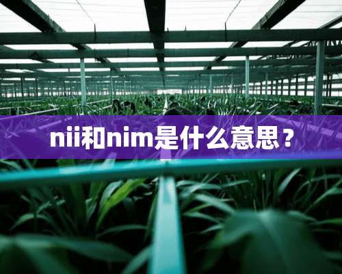 nii和nim是什么意思？