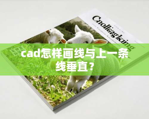 cad怎样画线与上一条线垂直？