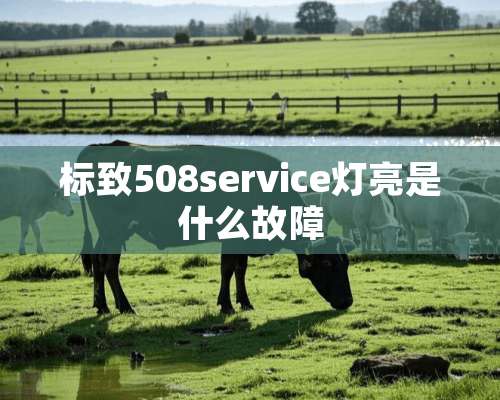 标致508service灯亮是什么故障