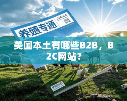 美国本土有哪些B2B，B2C网站？