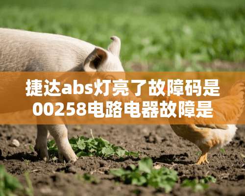 捷达abs灯亮了故障码是00258电路电器故障是啥原因有师傅们帮忙回答的吗？