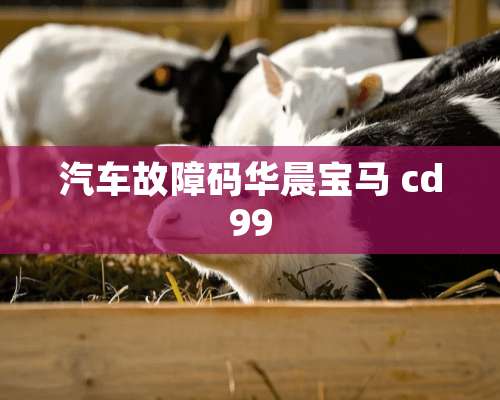 汽车故障码华晨宝马 cd99