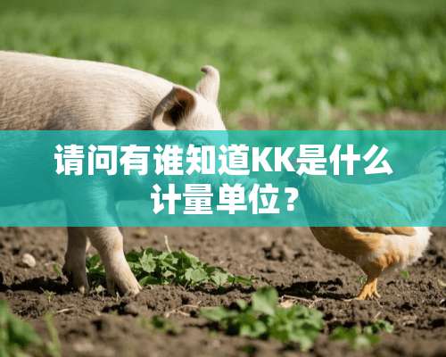 请问有谁知道KK是什么计量单位？