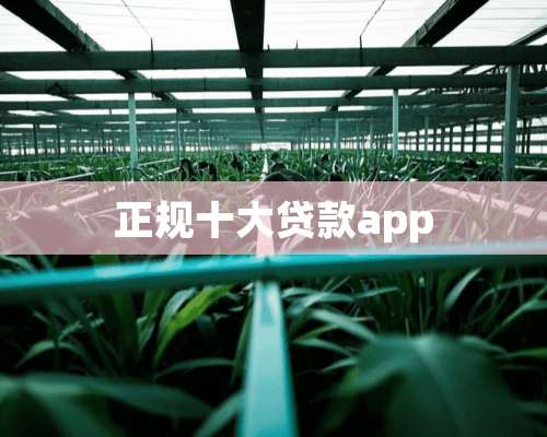 正规十大贷款app