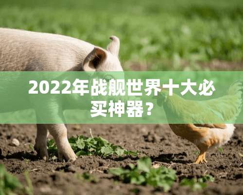 2022年战舰世界十大必买神器？