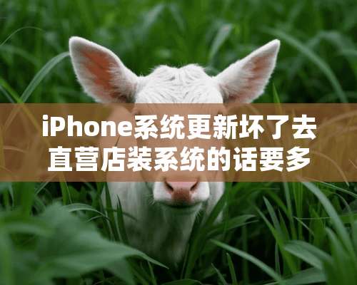 iPhone系统更新坏了去直营店装系统的话要多少钱？