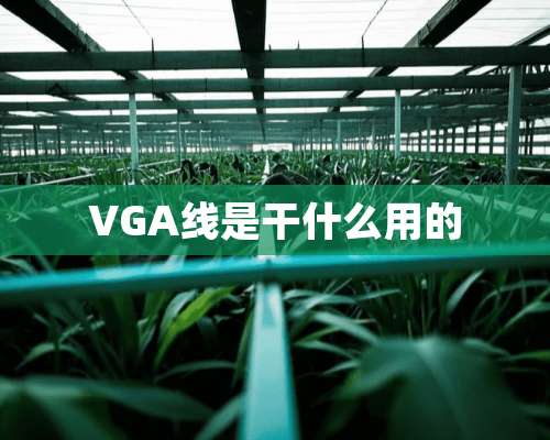 VGA线是干什么用的