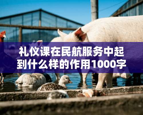 礼仪课在民航服务中起到什么样的作用1000字作文