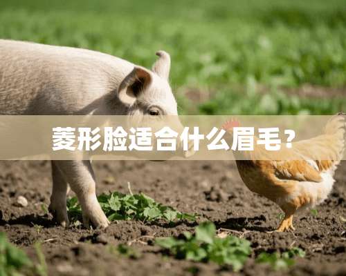 菱形脸适合什么眉毛？