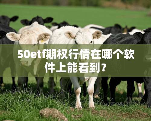 50etf期权行情在哪个软件上能看到？