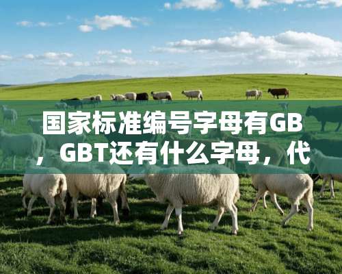 国家标准编号字母有GB，GBT还有什么字母，代表什么含义