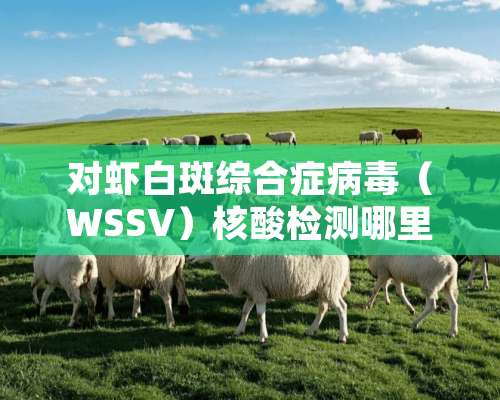 对虾白斑综合症病毒（WSSV）核酸检测哪里可以做？