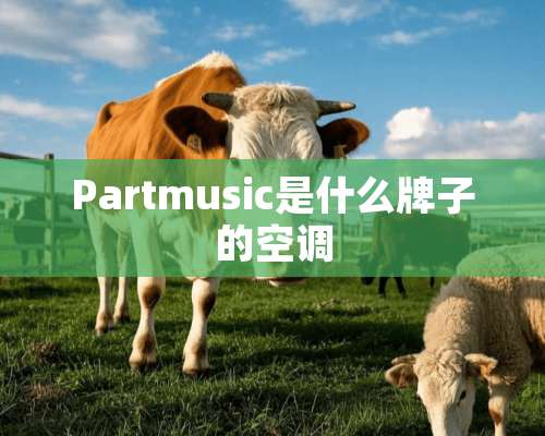 Partmusic是什么牌子的空调