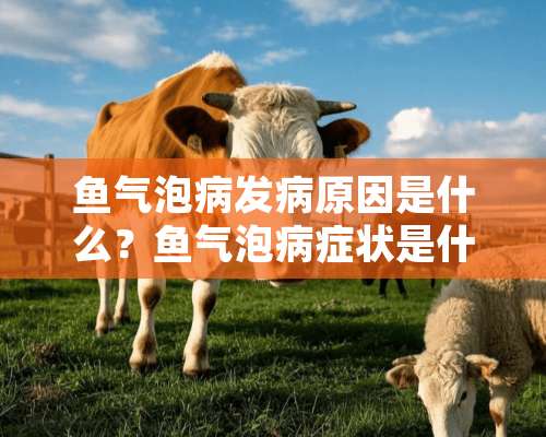 鱼气泡病发病原因是什么？鱼气泡病症状是什么？