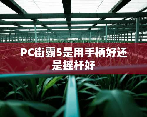 PC街霸5是用手柄好还是摇杆好