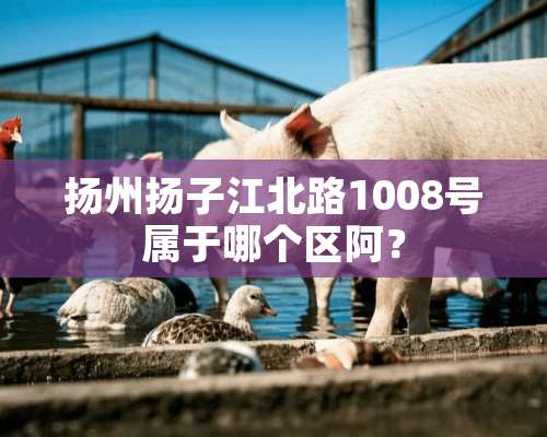 扬州扬子江北路1008号属于哪个区阿？