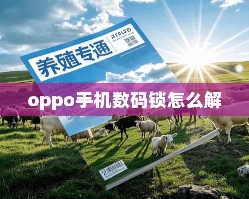 oppo手机数码锁怎么解