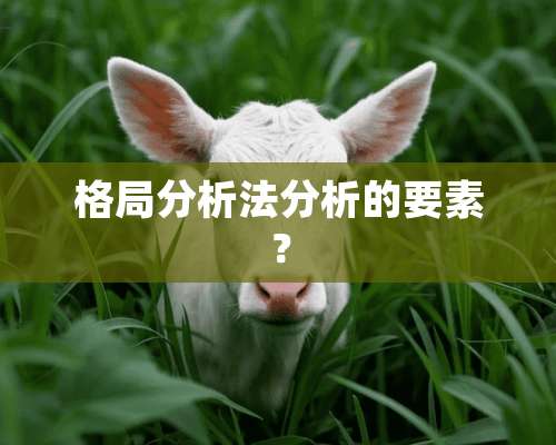 格局分析法分析的要素？