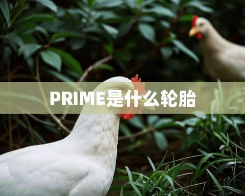 PRIME是什么轮胎