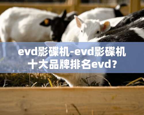 evd影碟机-evd影碟机十大品牌排名evd？