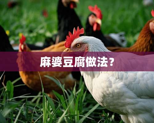 麻婆豆腐做法？