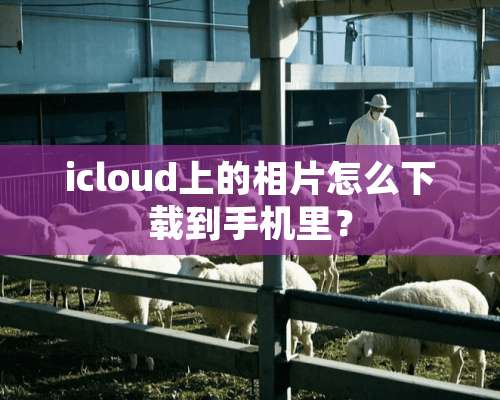 icloud上的相片怎么下载到手机里？