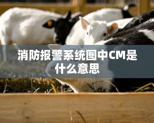 消防报警系统图中CM是什么意思