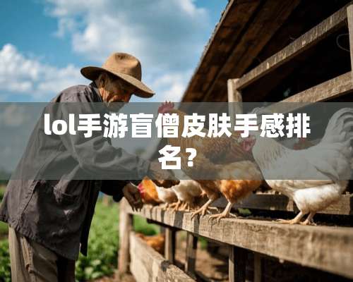 lol手游盲僧皮肤手感排名？