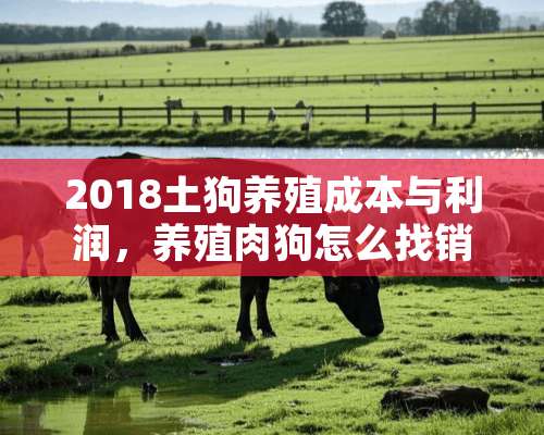 2018土狗养殖成本与利润，养殖肉狗怎么找销路