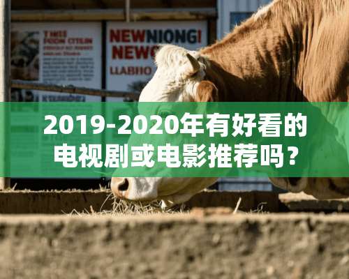 2019-2020年有好看的电视剧或电影推荐吗？