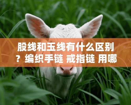 股线和玉线有什么区别？编织手链 戒指链 用哪个更合适？