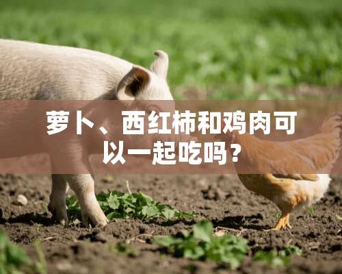 萝卜、西红柿和鸡肉可以一起吃吗？