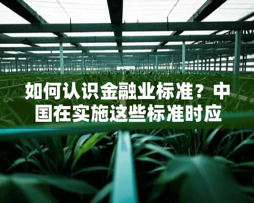 如何认识金融业标准？中国在实施这些标准时应持何种态度？