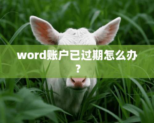 word账户已过期怎么办？