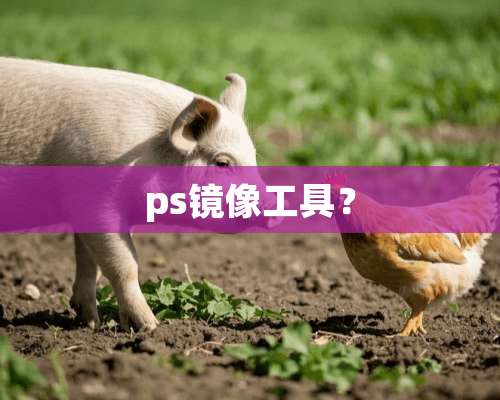 ps镜像工具？