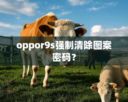 oppor9s强制清除图案密码？