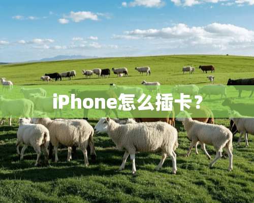 iPhone怎么插卡？