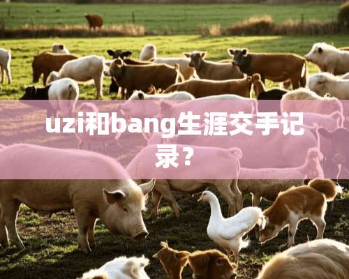 uzi和bang生涯交手记录？