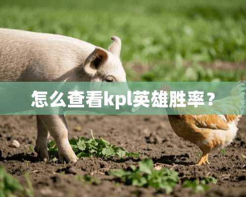 怎么查看kpl英雄胜率？