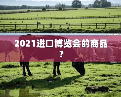 2021进口博览会的商品？