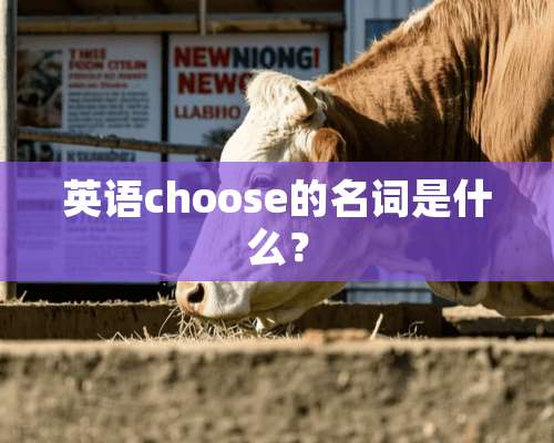 英语choose的名词是什么？