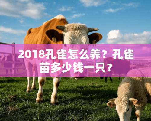 2018孔雀怎么养？孔雀苗多少钱一只？